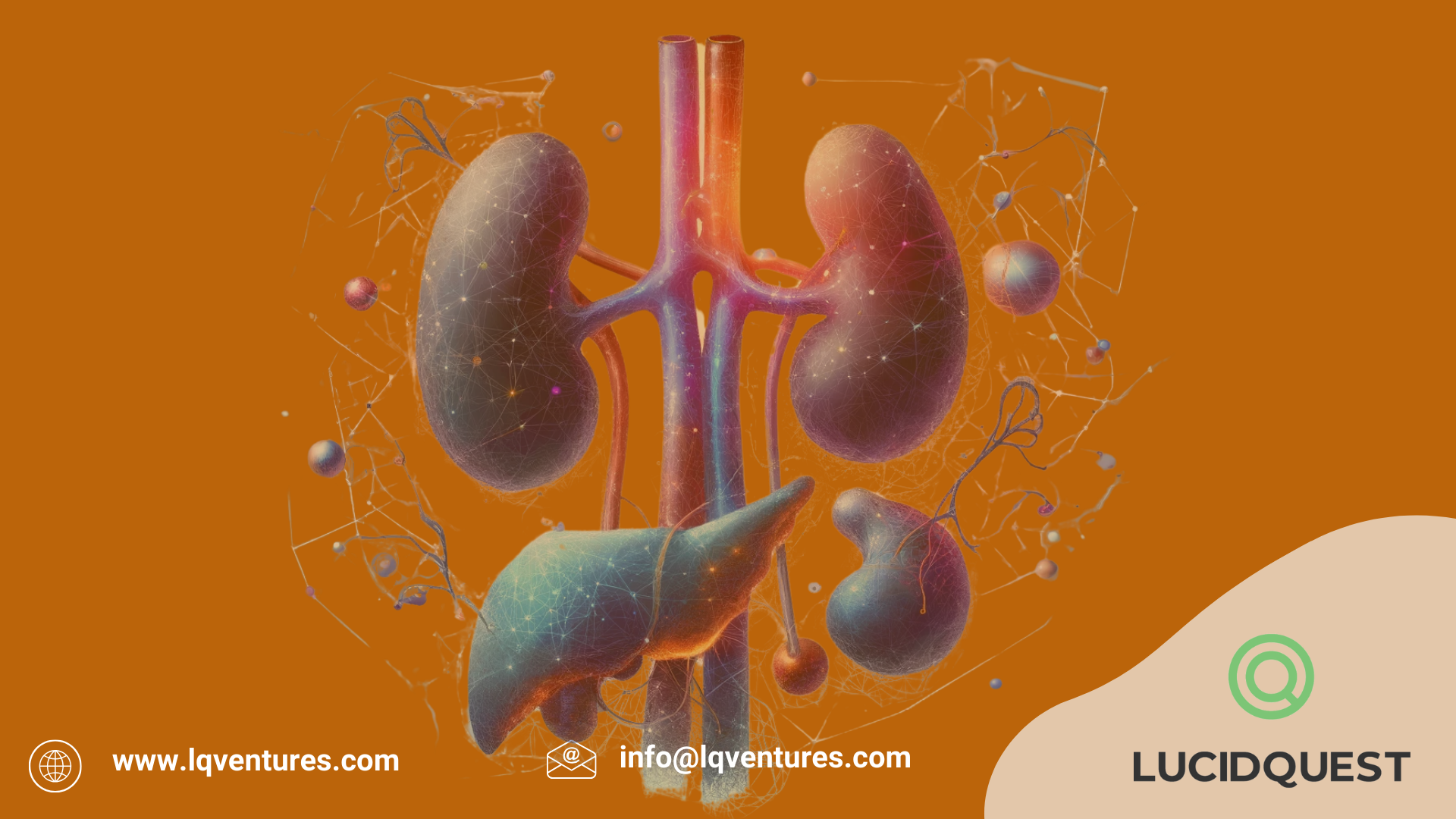 Endocrinology